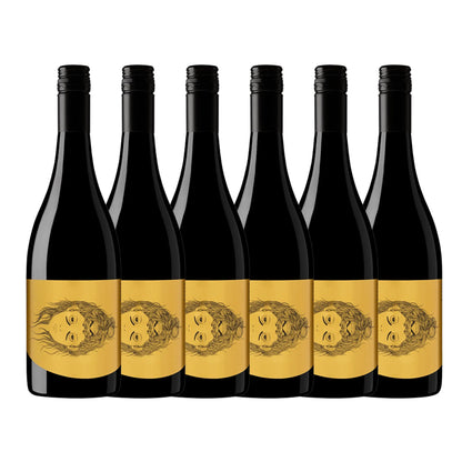 Hentley Farm Villain & Vixen Shiraz 750mL Booze House