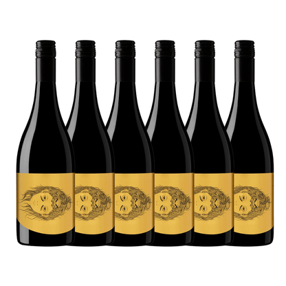 Hentley Farm Villain & Vixen Shiraz 750mL