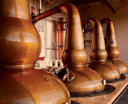 Glendronach 1994 Single Cask #1769 28 Year Old Single Malt Scotch Whisky 700ml - Booze House